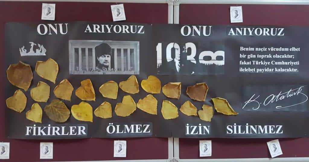 17-11-2020